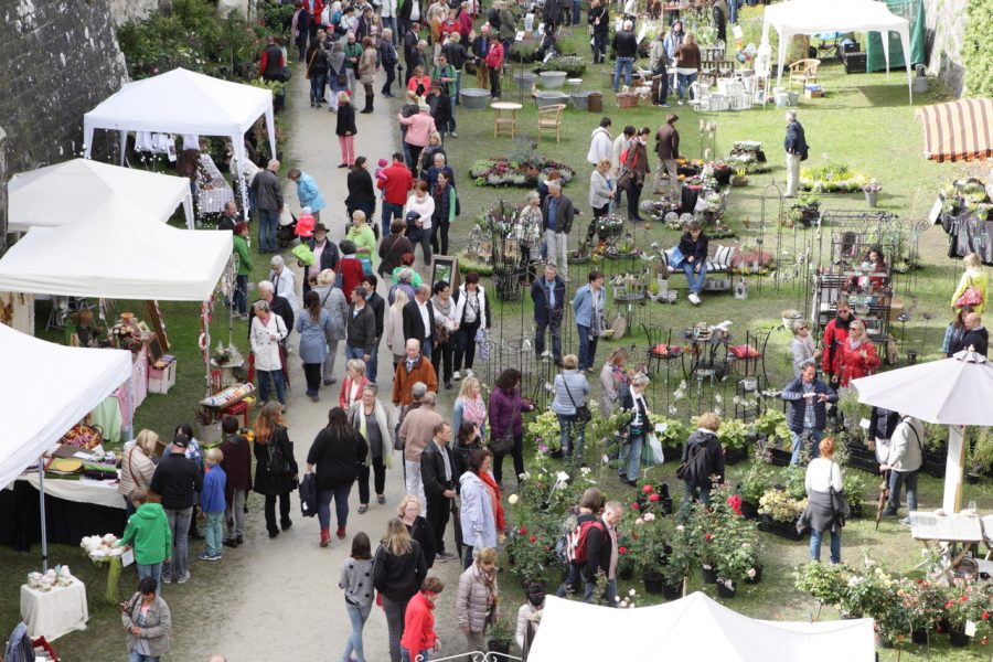 Große Rosen & Garten Messe in Kronach › meinamadeus.de