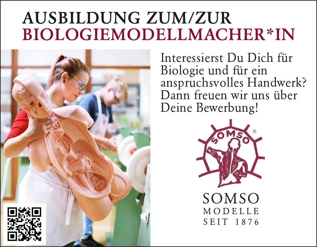 Marcus Sommer Somso Modelle Gmbh mein-amadeus.de